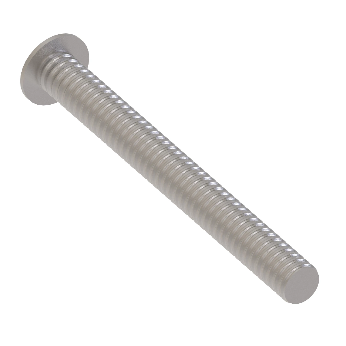 Screw-Stainless Steel Lockin